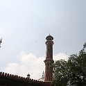 India & Nepal 2011 - 0038